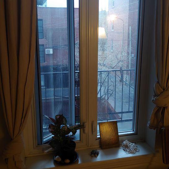 "An early morning back alley in Montreal from my living room sofa where I mostly work." (Prashant Keshavmurthy, Fellow in Research Area 5, May – August 2021)